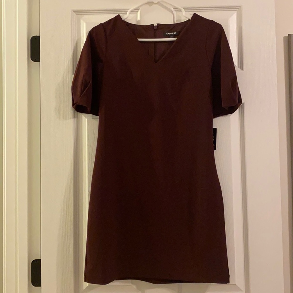 Brand New Express Dress
